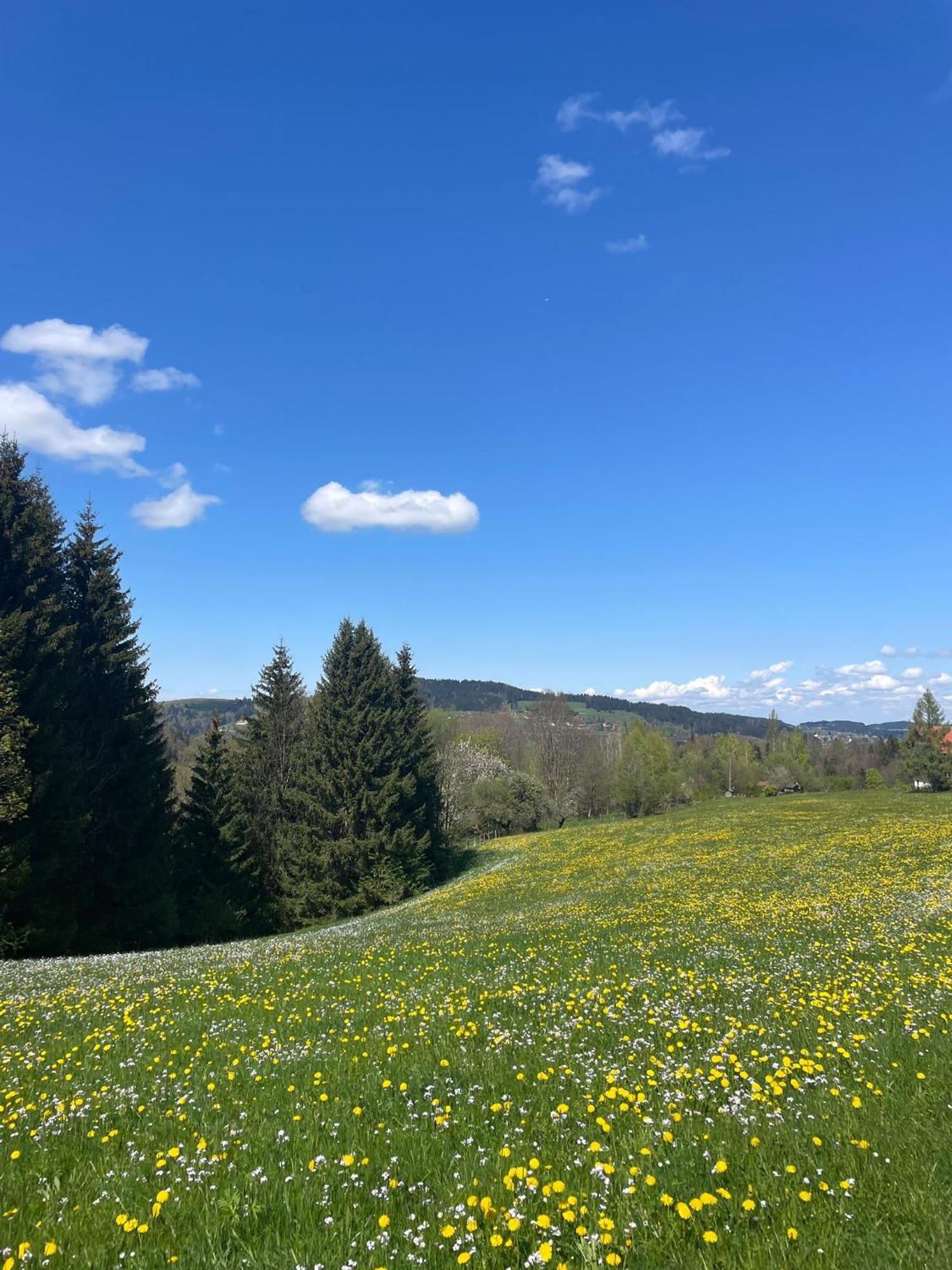 Kuh'Les Hideaway Steibis 3-Zimmer Ferienwohnung 55 M² Oberstaufen Luaran gambar