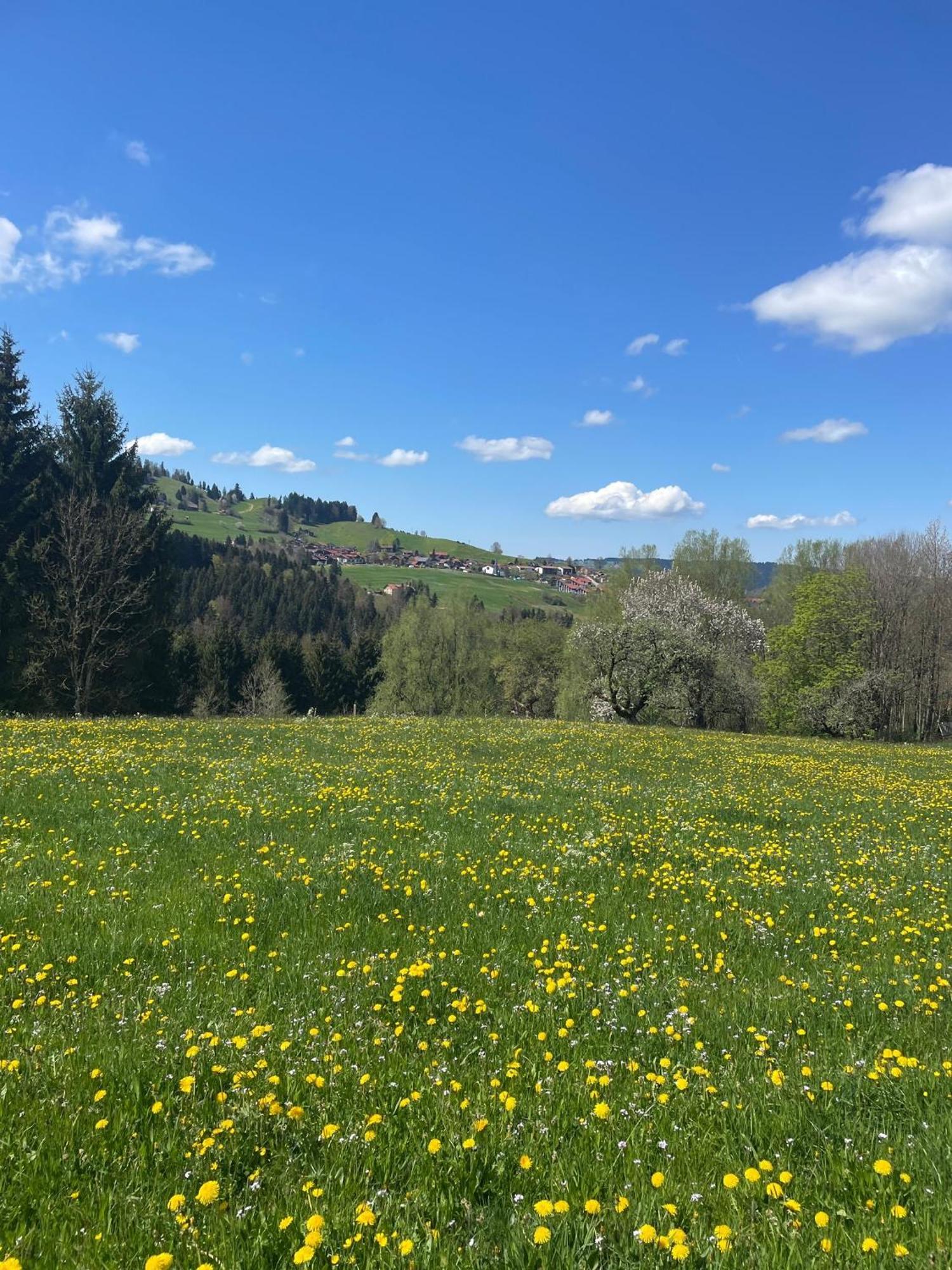 Kuh'Les Hideaway Steibis 3-Zimmer Ferienwohnung 55 M² Oberstaufen Luaran gambar